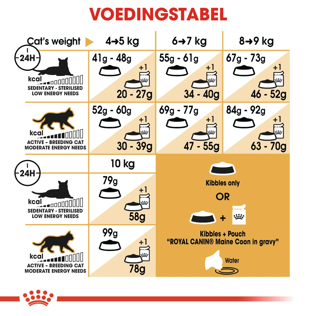 Royal Canin Maine Coon 2kg – Image 2