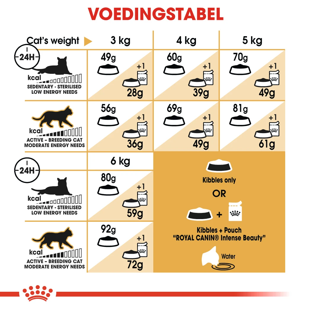 Royal Canin Sphynx 33 Pour Chat 2kg – Image 2