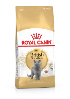 Royal Canin British Shorthair Pour Chat 10kg