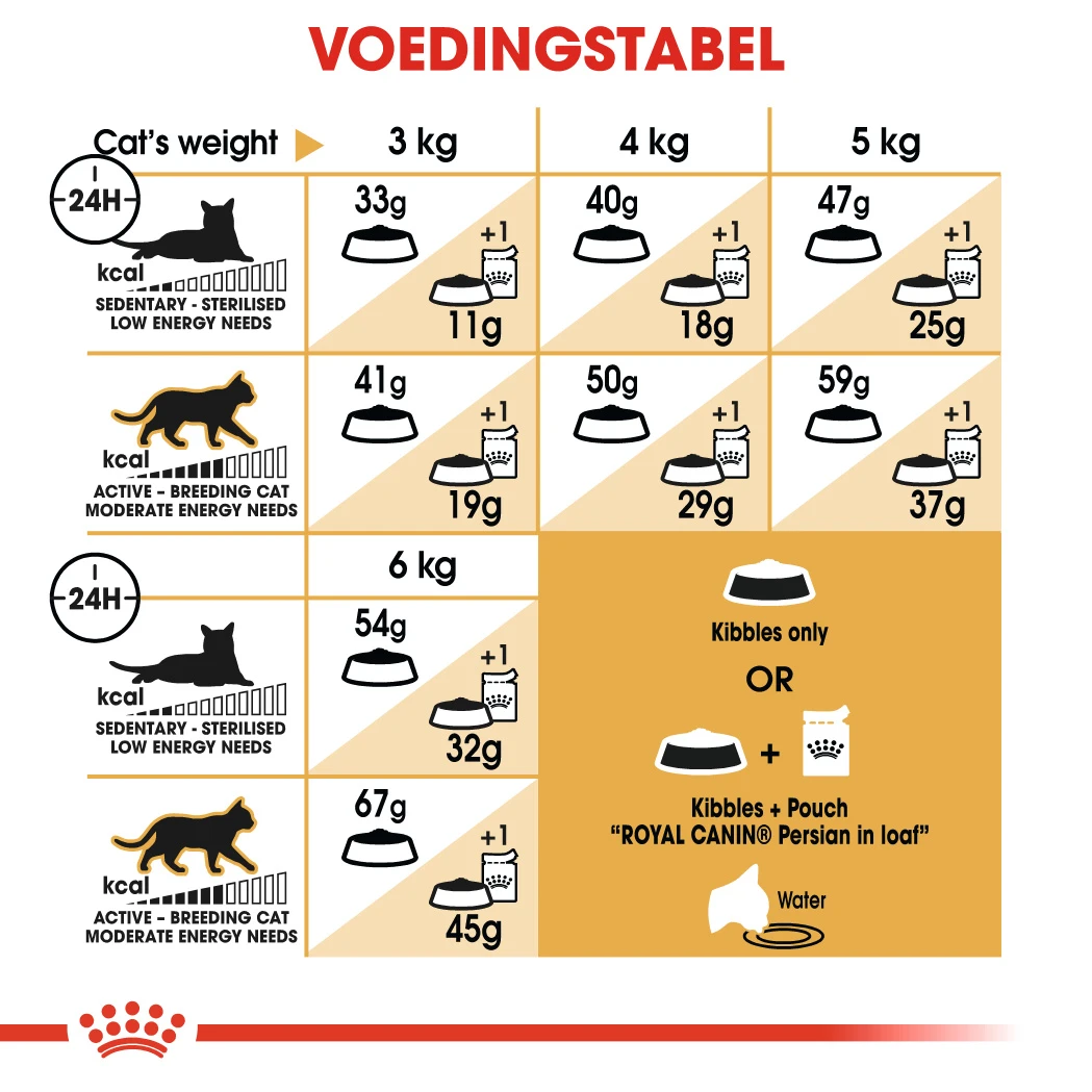 Royal Canin Persian Pour Chat 10kg + 2kg Gratuit – Image 2