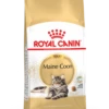 Royal Canin Maine Coon Adult Pour Chat 4kg