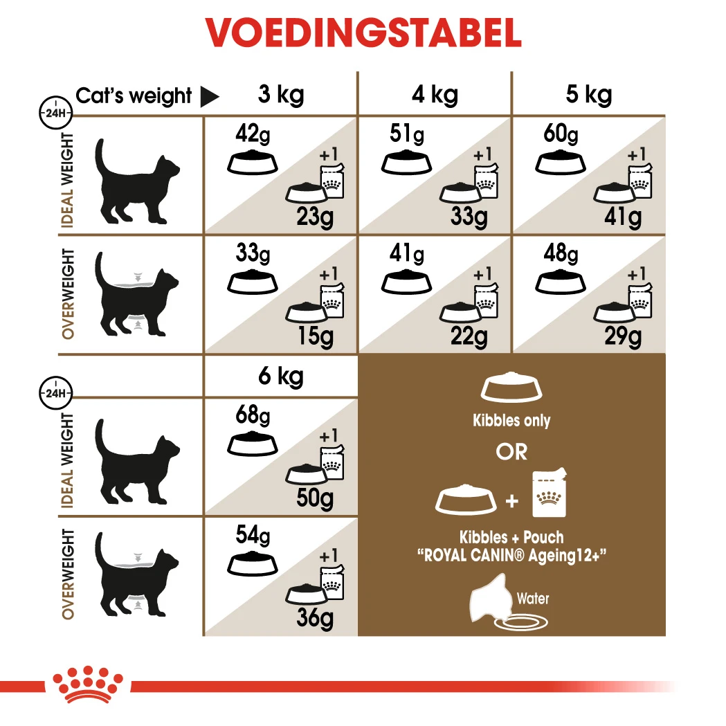 Royal Canin Ageing 12+ Pour Chat 2kg – Image 2