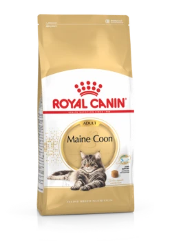 Royal Canin Maine Coon Adult Pour Chat 10kg