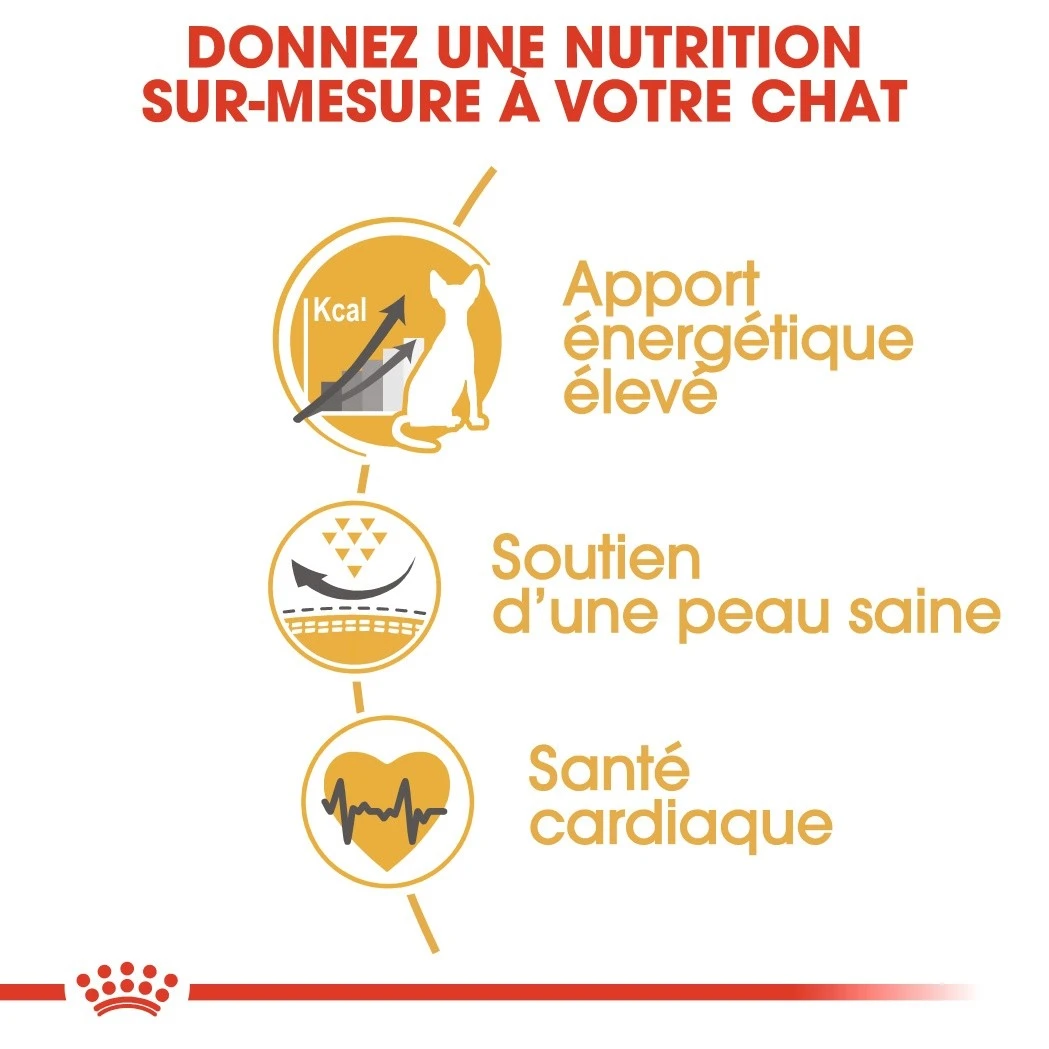 Royal Canin Sphynx Adult Pour Chat 10kg – Image 4